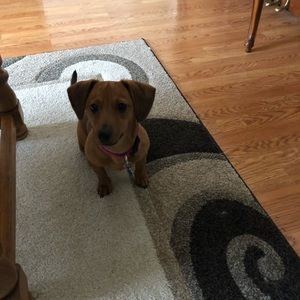 Meet your Posher, Deaneen